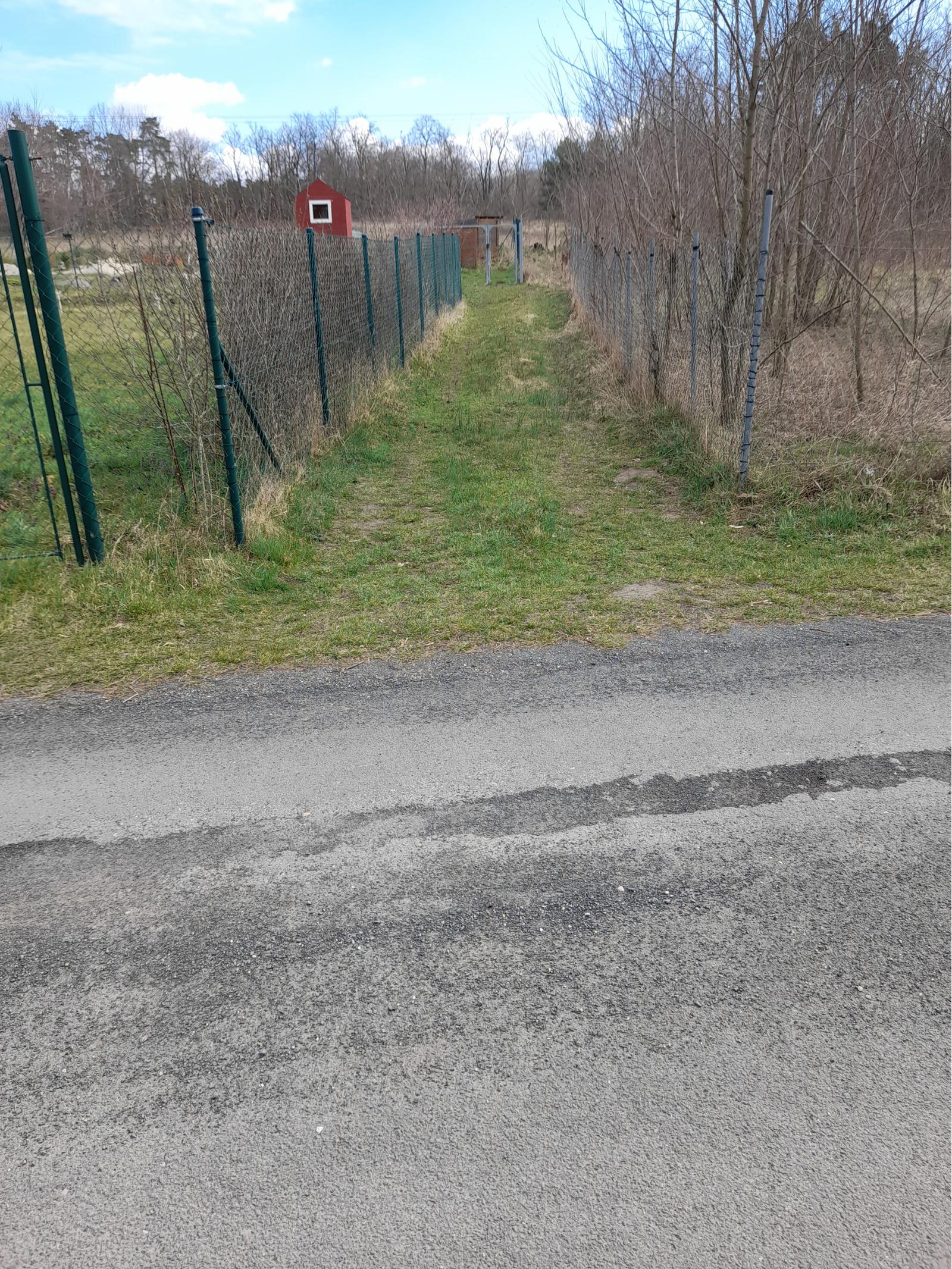 Záhrada - Devínske Jazero (585 m2) – fotka 2
