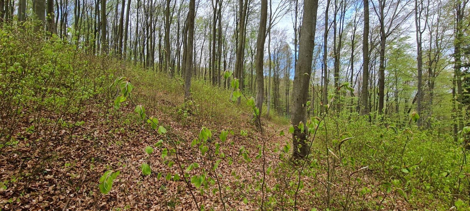 Na predaj pozemok v Trenčianskych Tepliciach vhodný na stavbu chatky alebo montovaného domu – fotka 2