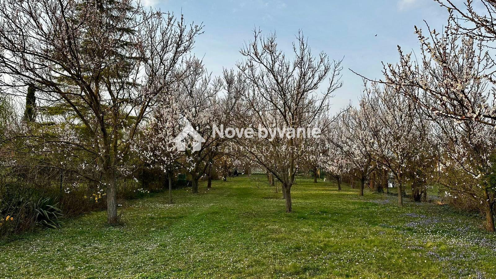 PREDAJ KRÁSNY STAVEBNÝ POZEMOK/MARHUĽOVÝ SAD - DOBROHOŠŤ (N300-14-OTKAE) – fotka 2