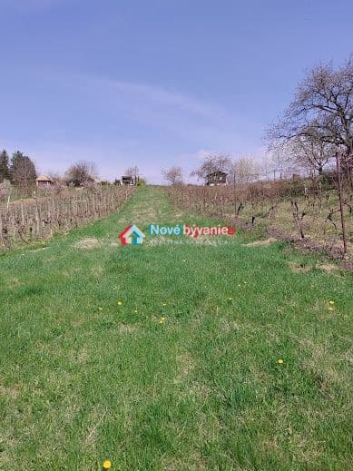 Predaj, rekreačný pozemok - Kozárovce (N018-14-MAHAa)