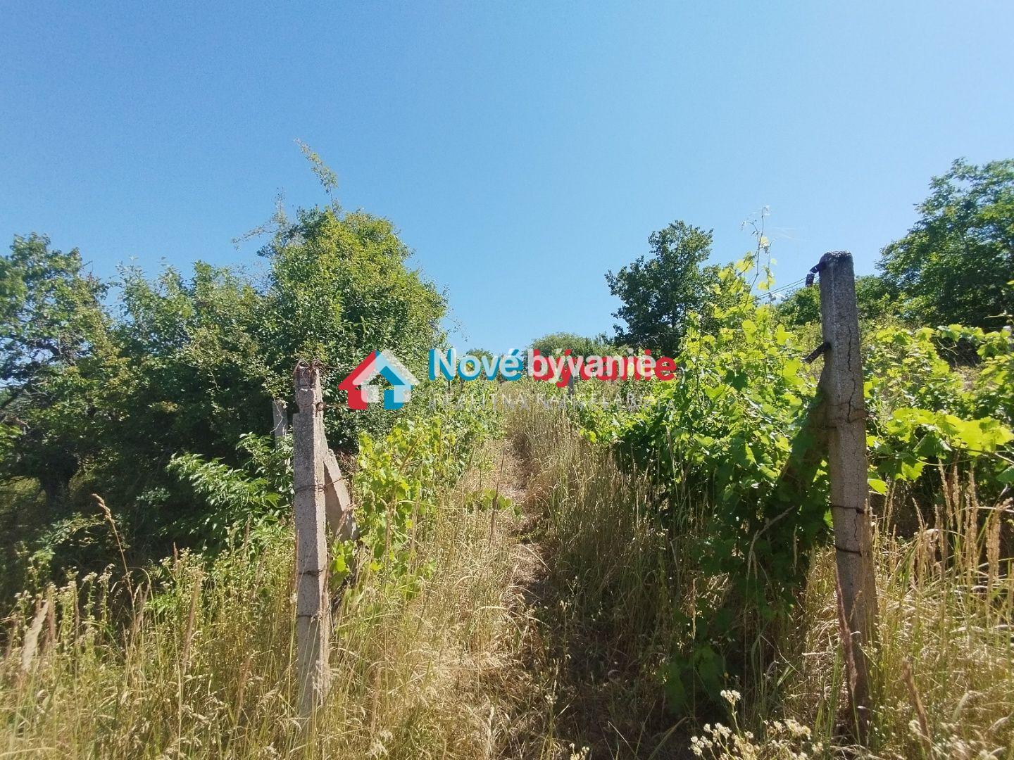 Predaj - pozemok Levice ( N046-14-MAHA) – fotka 2
