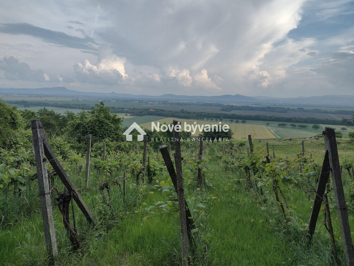 Predaj, vinica, viničný dom - Belá(N070-14-FRAD) – fotka 2