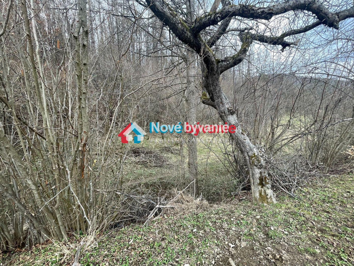 Predaj pozemok Zubák okres Púchov – fotka 2