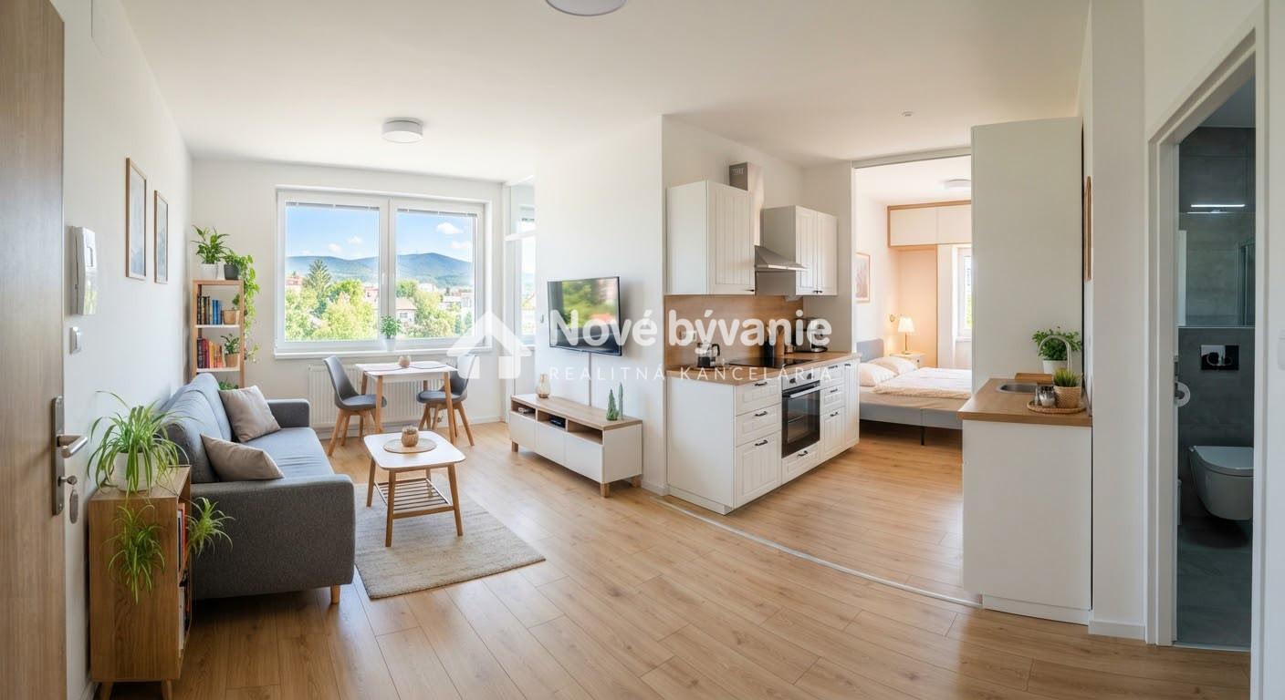 Hľadám 1i byt, PB, BY, ZA, platba hotovosť - IHNEĎ ( 103-DASE)