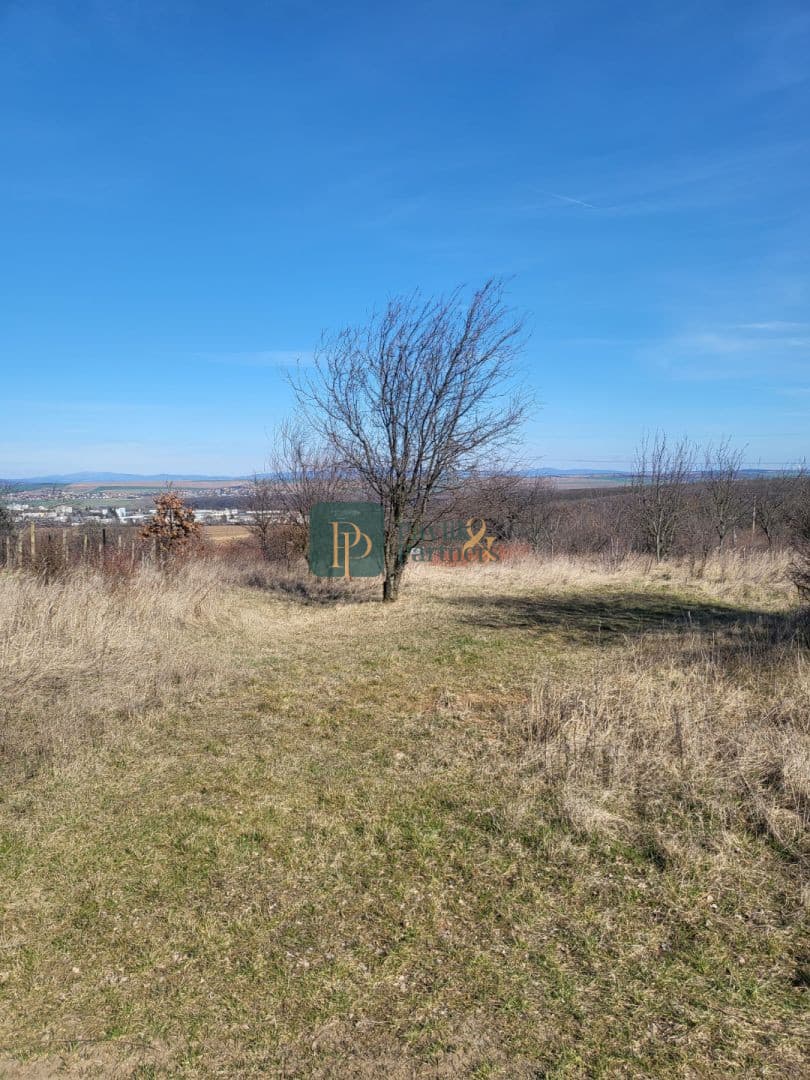 Predaj rekreačný pozemok, Dolné Krškany - Bita – fotka 2