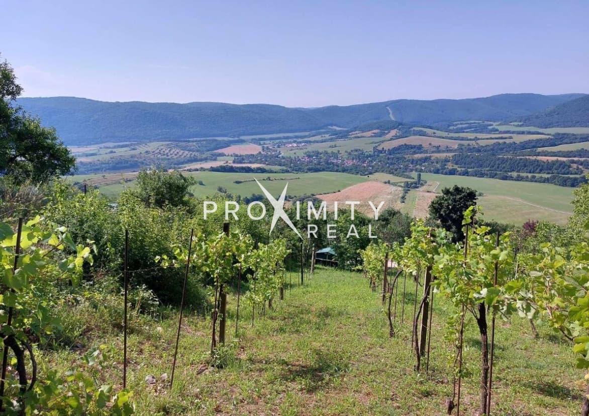 Predaj: Vinica s pozemkom 2 646m² – Hrušov, úpätie Silickej planiny – fotka 2