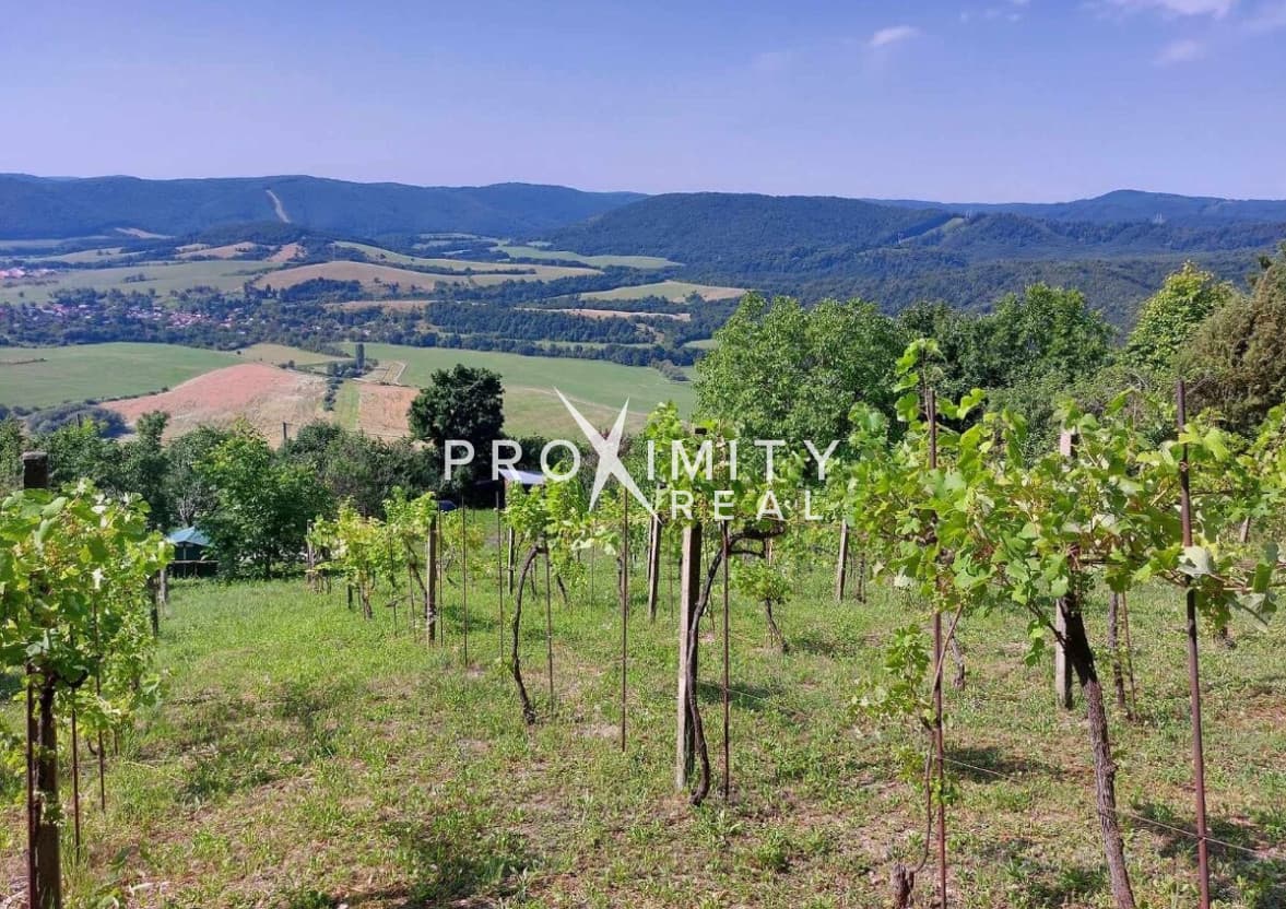 Predaj: Vinica s pozemkom 2 646m² – Hrušov, úpätie Silickej planiny