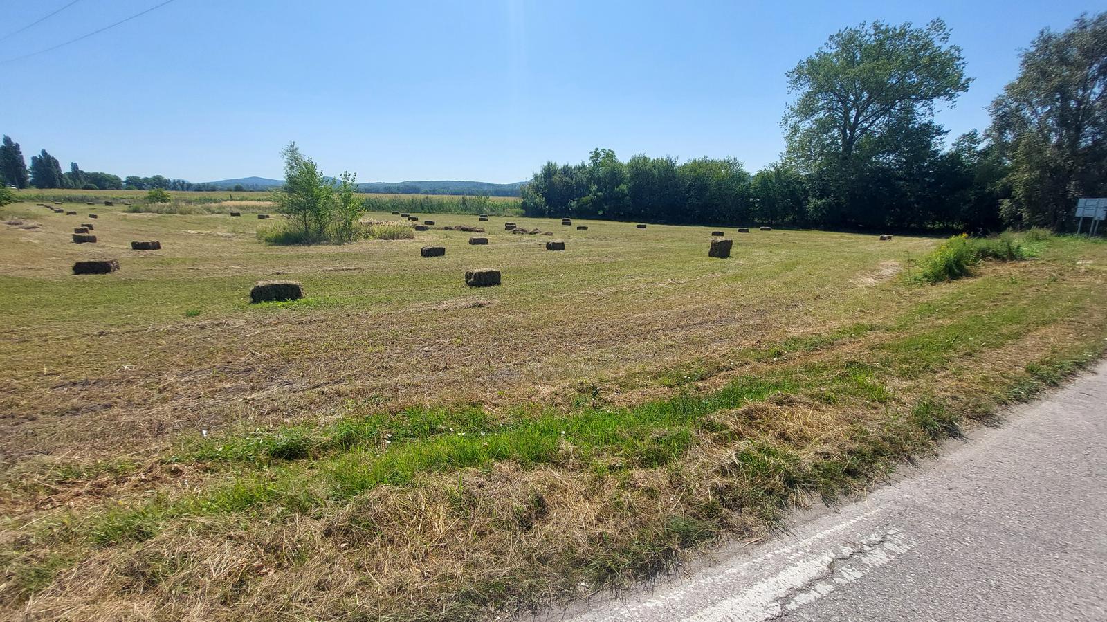 Stavebný pozemok 5560 m2 v obci Kravany nad Dunajom , okr. Komárno – fotka 2