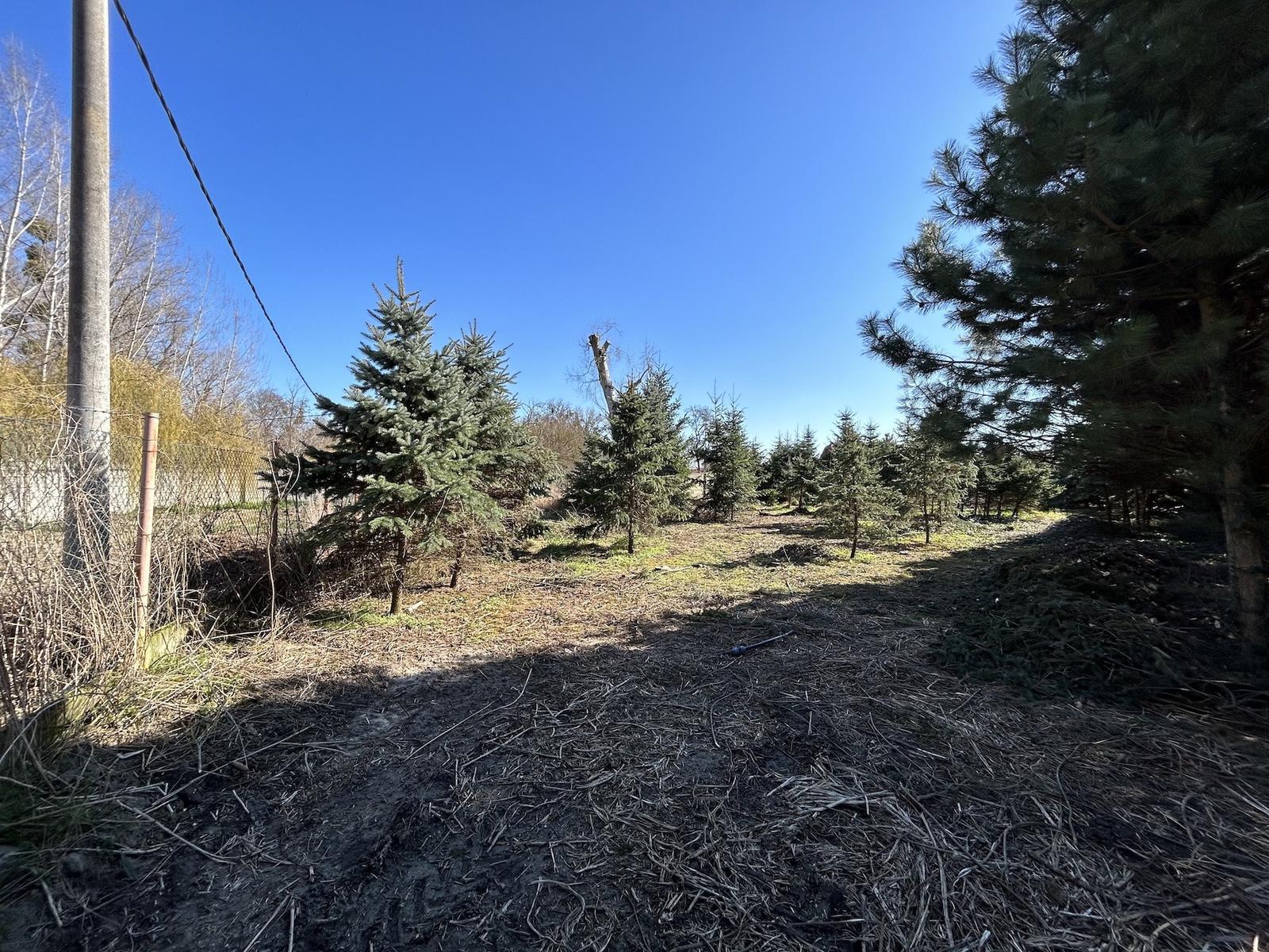 Na predaj | Stavebný pozemok 1398 m² - Topoľnica – fotka 2