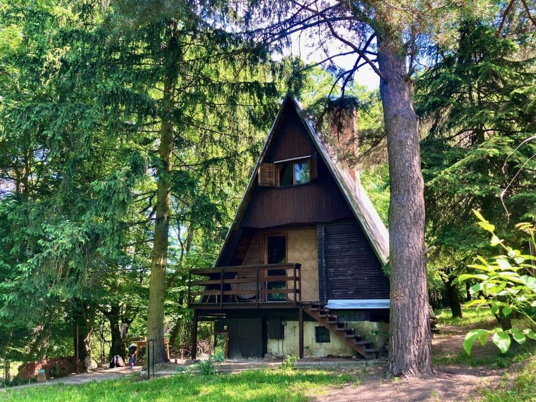 Veľký lesnatý pozemok s chatou, možné oddeliť ďalší pozemok – fotka 2
