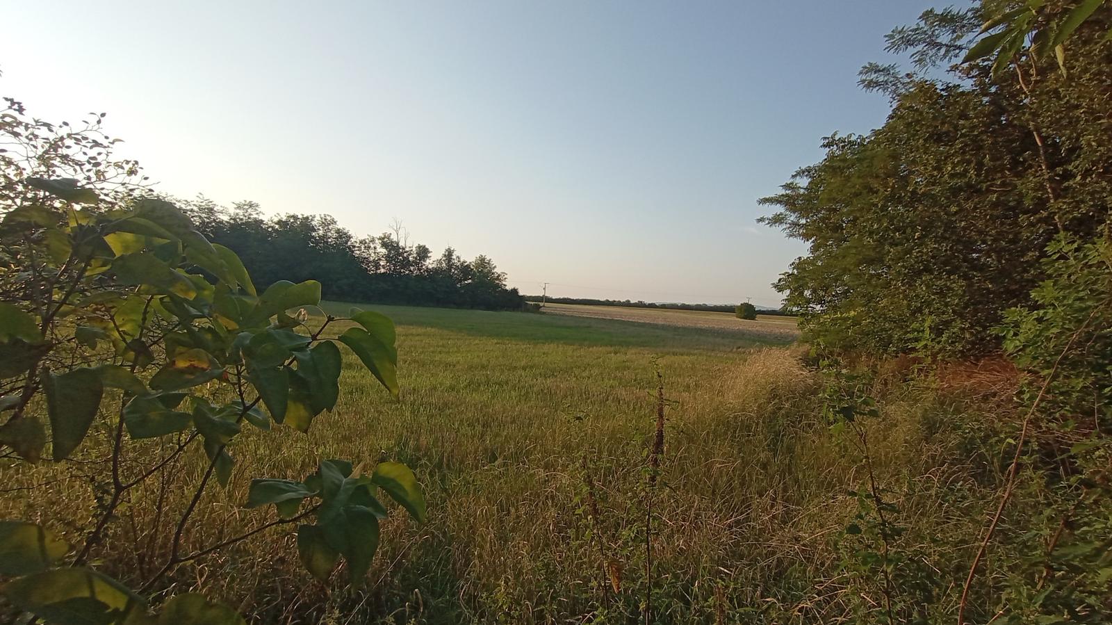 Na predaj zaujímavý stavebný pozemok 3800 m2 v tichej lokalite obce Medvecké, Levice – fotka 2