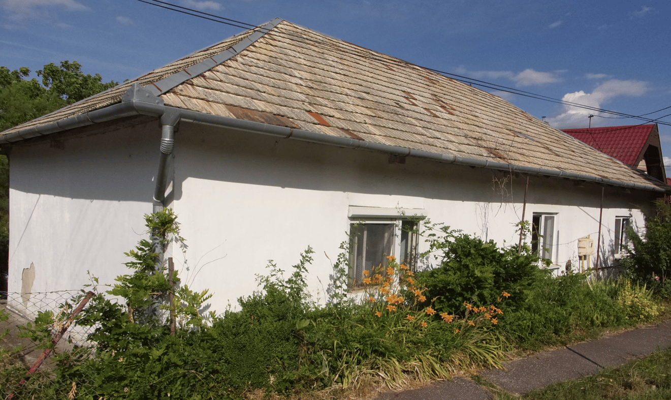 ZNÍŽENÁ CENA !!!!- vidiecky dom 90 m2, pozemok 4269 m2, Dedinka, Nové Zámky