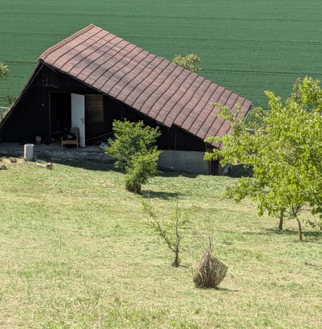 Na predaj chata vo vinohradníckej oblasti Staré Levice – fotka 2