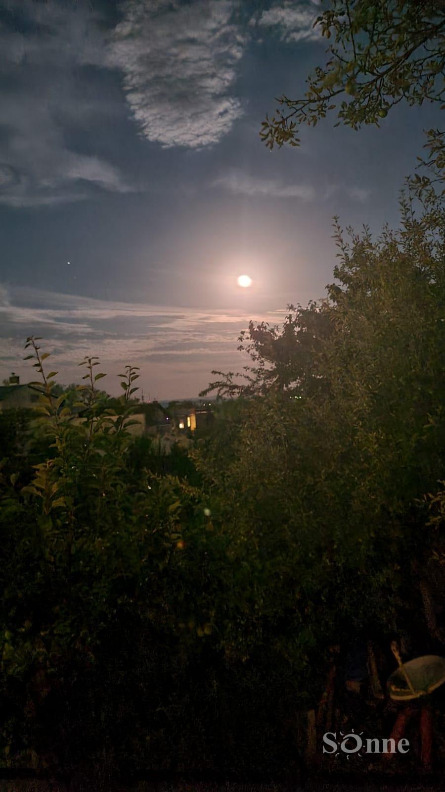 Stavebný pozemok - Jasov – fotka 2