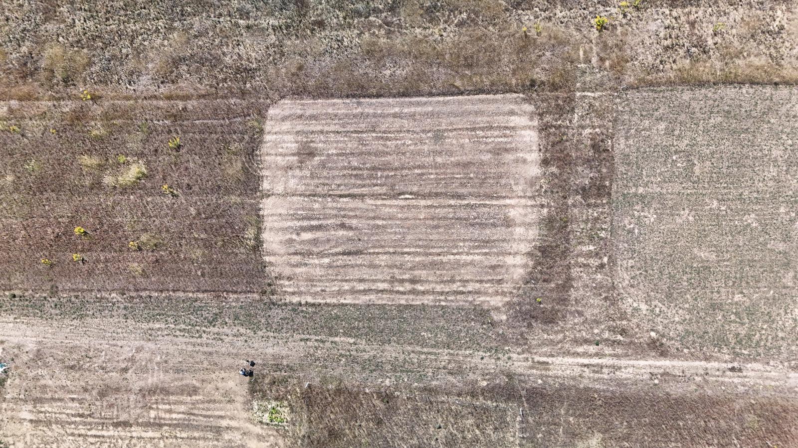Pozemok na výstavbu rodinných domov, Šarišské Bohdanovce – fotka 2