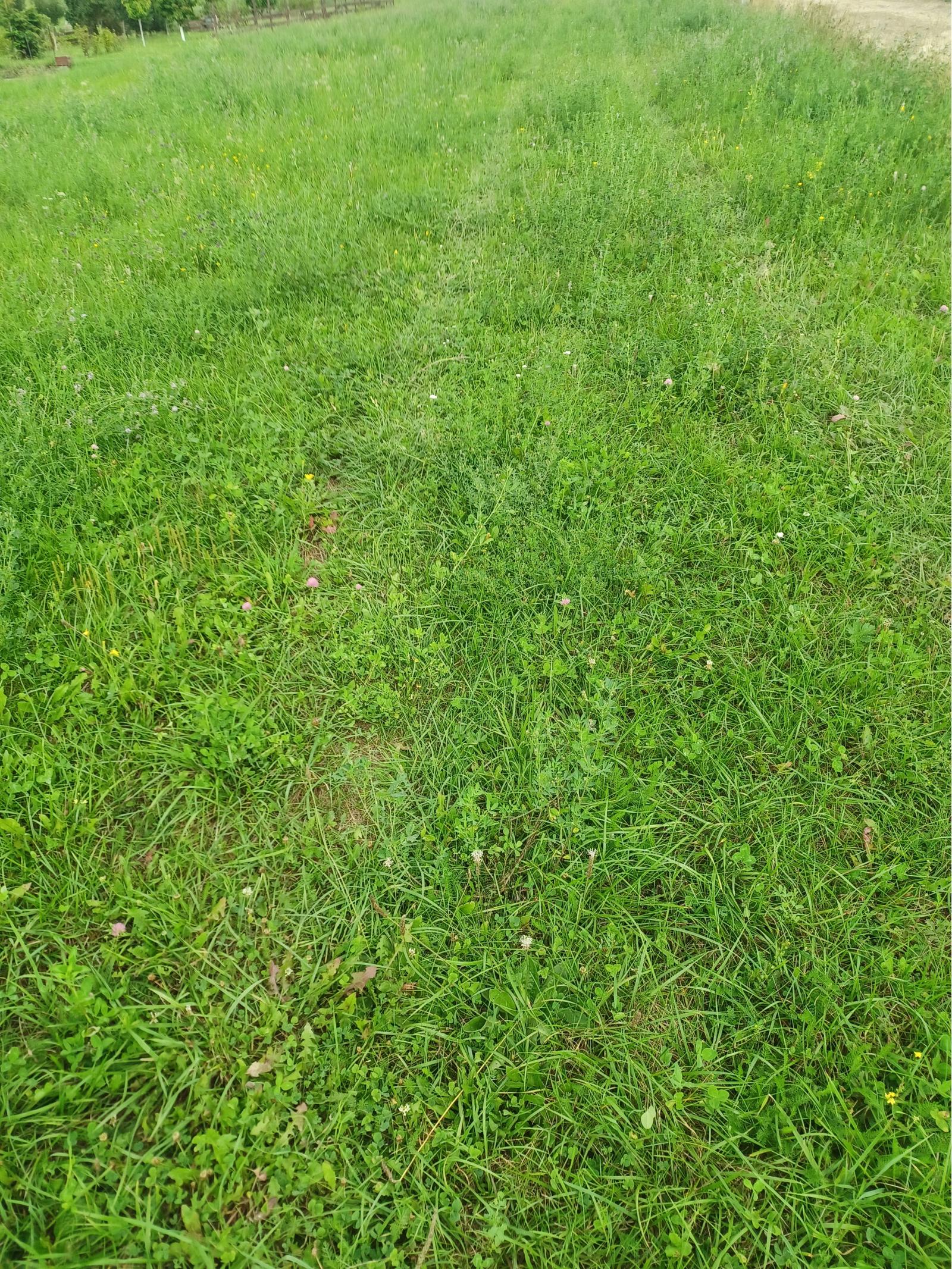 Stavebný pozemok, Podhorany, okres Prešov