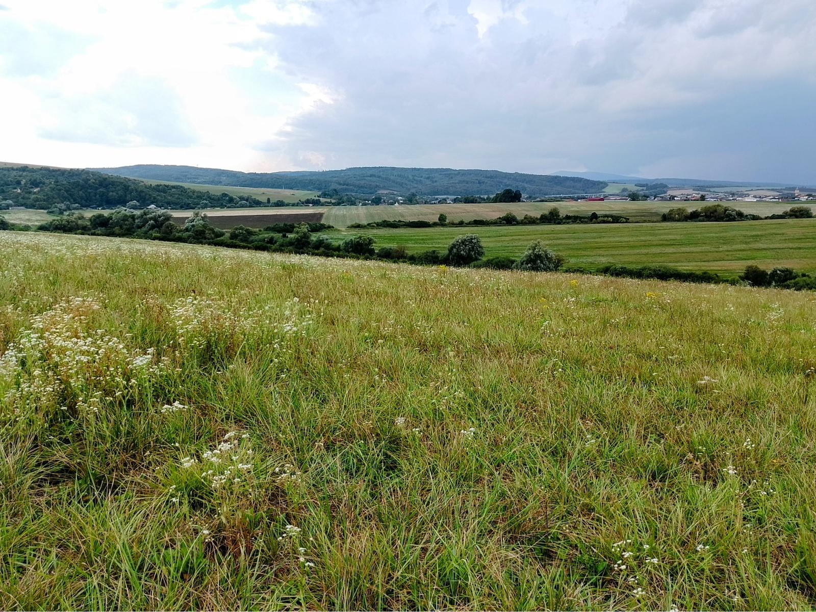 Pozemok na predaj Veľký Šariš