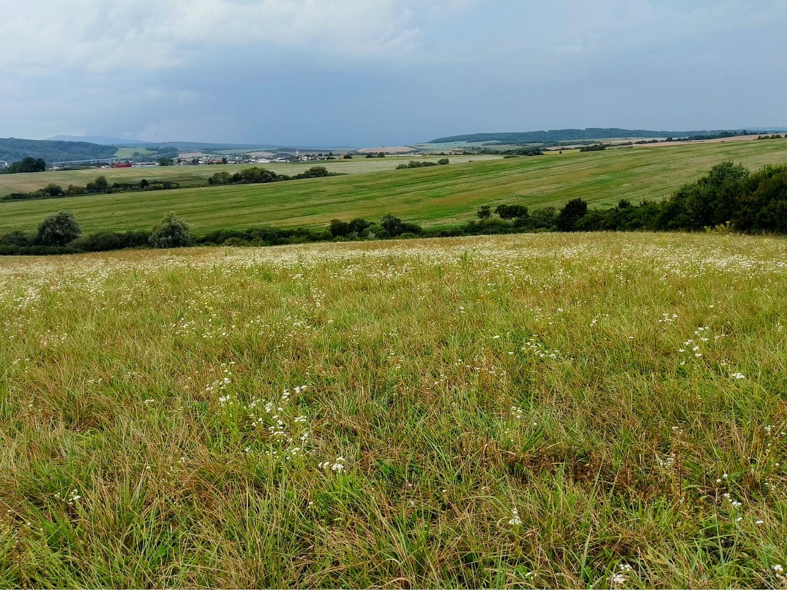 Pozemok na predaj Veľký Šariš – fotka 2