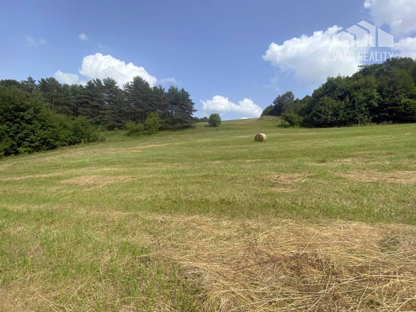 Veľký rekreačný pozemok s chatkou, Streženice (Púchov), 2400 m2