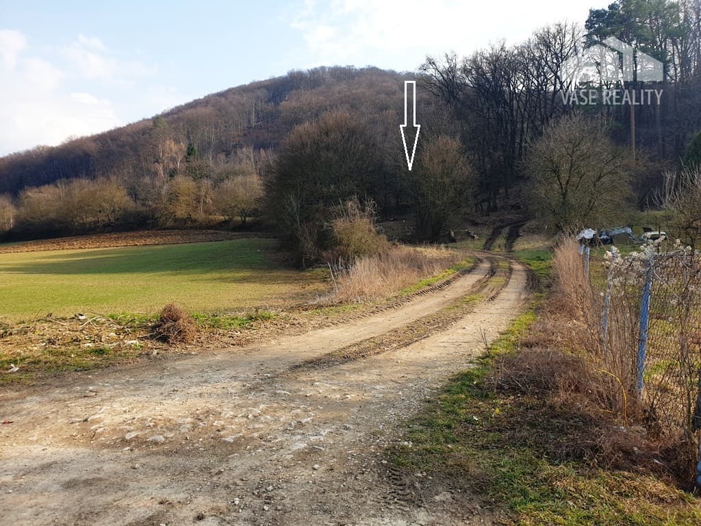Rekreačný pozemok pri lese 1 139 m2 - možnosť výstavby chatky - Trenčianske Bohuslavice