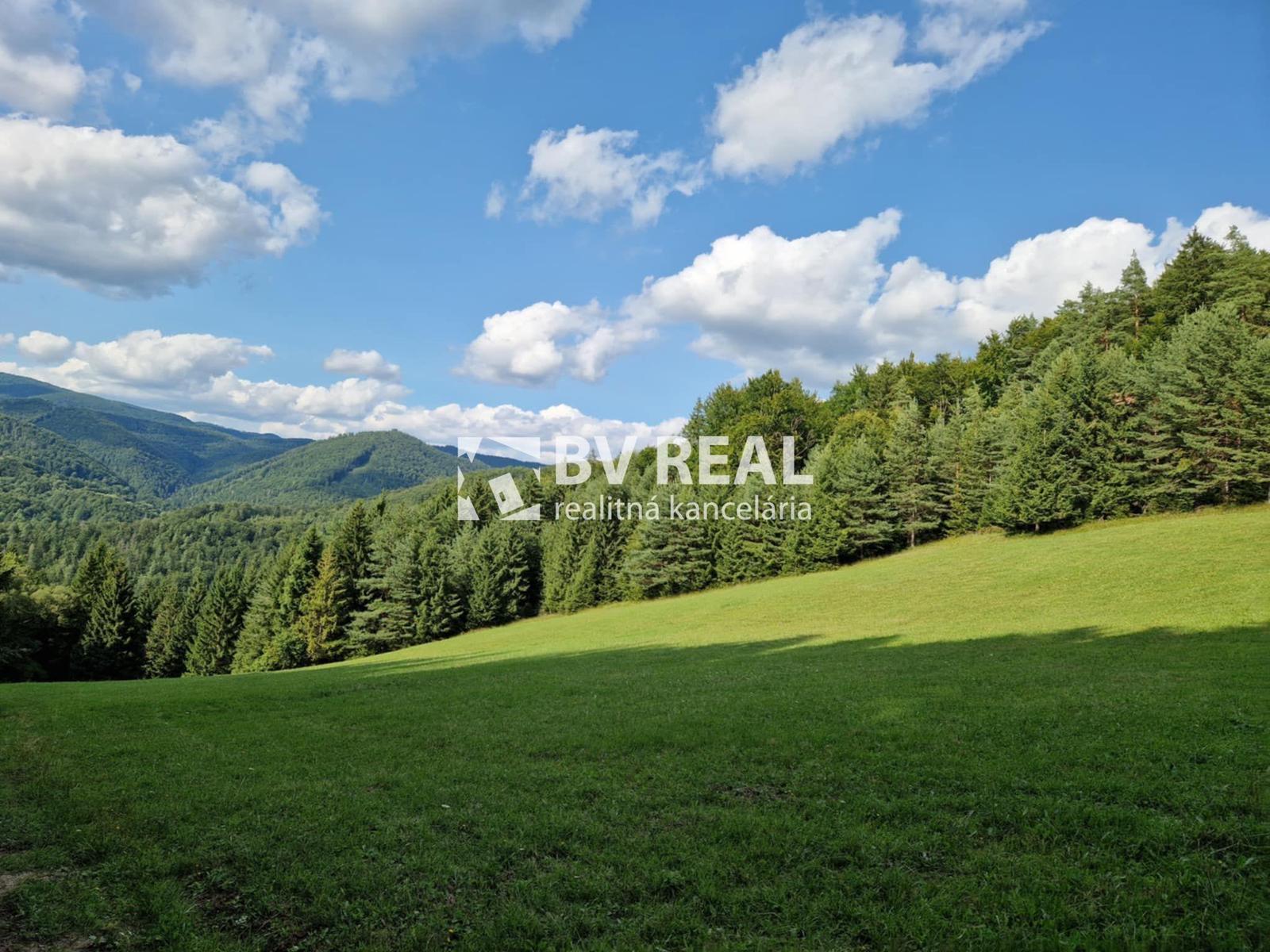 BV REAL Na predaj pozemok 4011 m2 obec Čavoj FM2317
