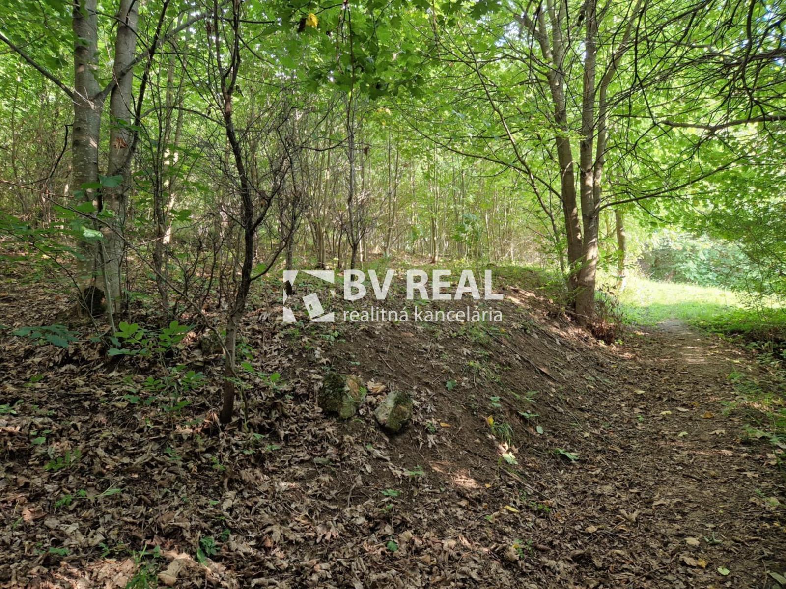 BV REAL Na predaj pozemok 4256 m2 obec Čavoj FM2319