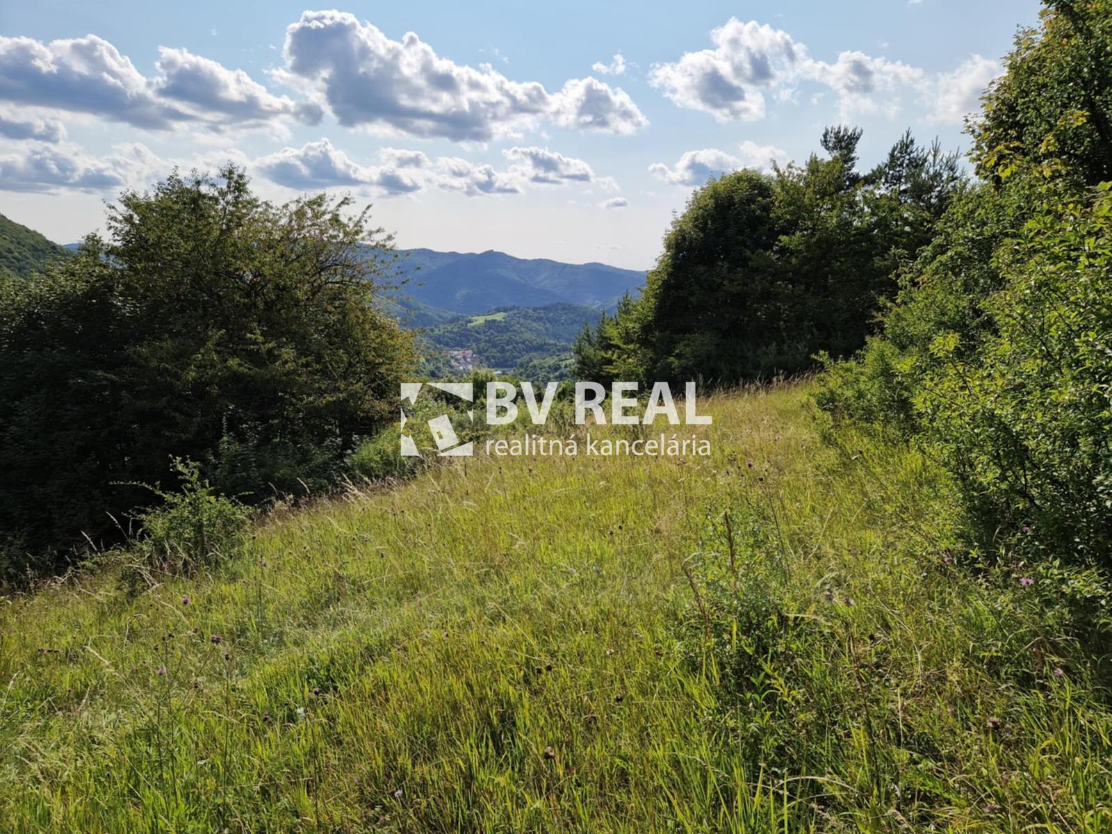 BV REAL Na predaj pozemok 4014 m2 obec Čavoj FM2320