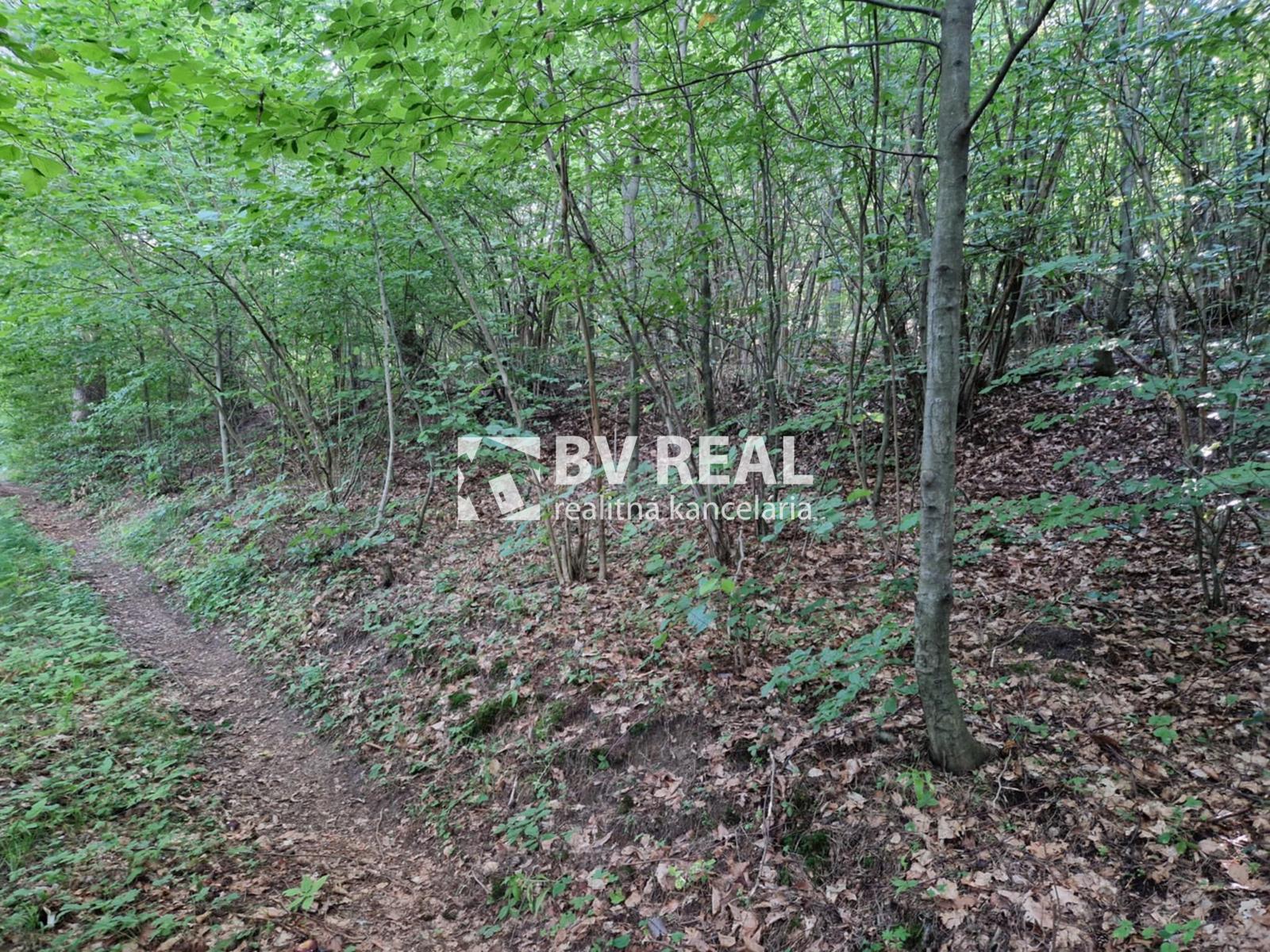 BV REAL Na predaj pozemok 5001 m2 obec Čavoj FM2321