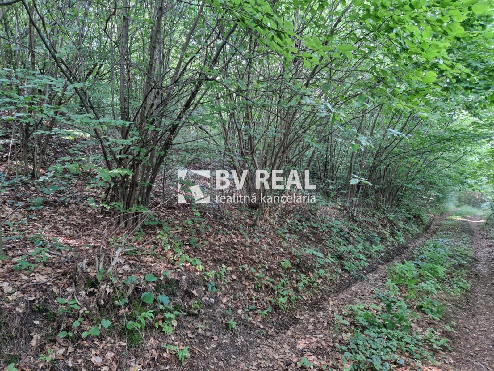 BV REAL Na predaj pozemok 5001 m2 obec Čavoj FM2321 – fotka 2