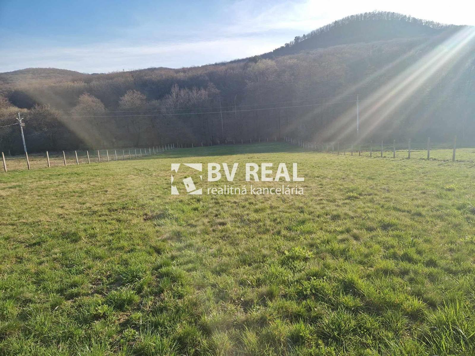 BV REAL Na predaj pozemok obec Horná Ves FM1911 – fotka 2