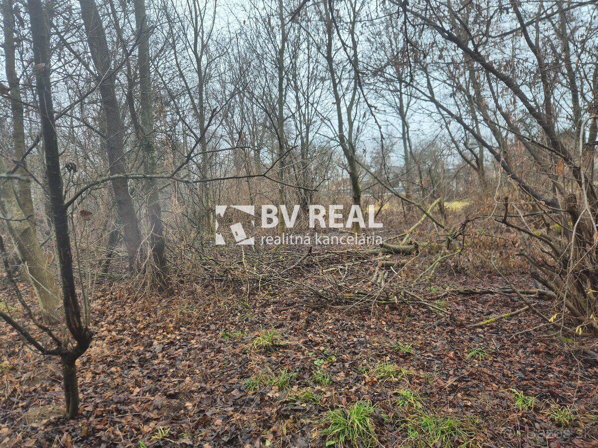 BV REAL Na predaj pozemok obec Liešťany FM2460