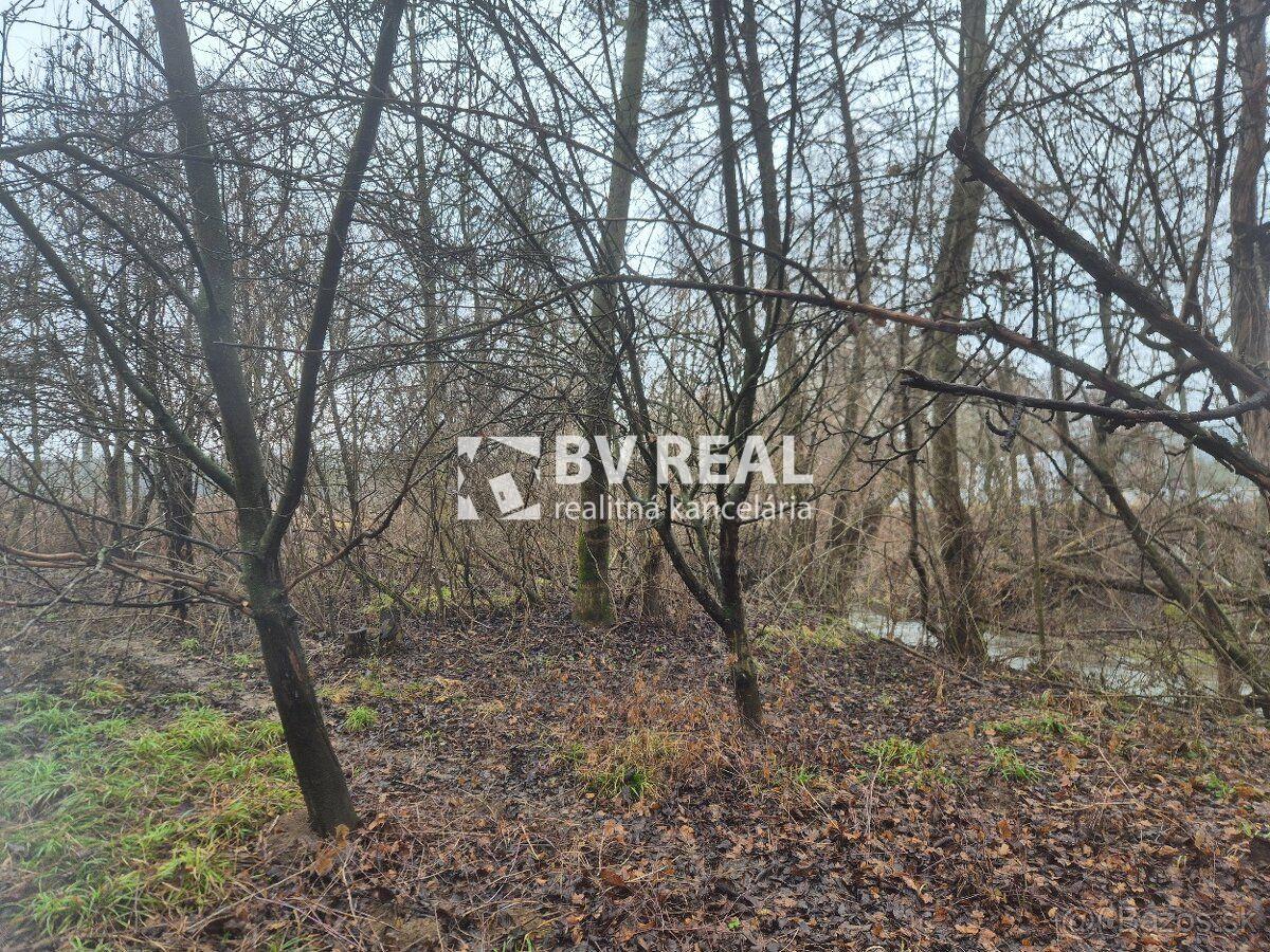 BV REAL Na predaj pozemok obec Liešťany FM2460 – fotka 2