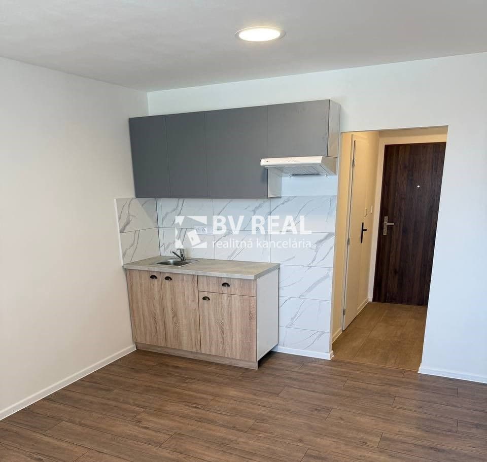 BV REAL na prenájom garsónka s odkupom aj na splátky FM2508