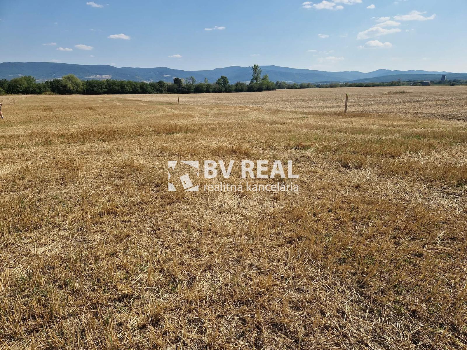 BV REAL Na predaj investičný pozemok obec Koš FM2510 – fotka 2