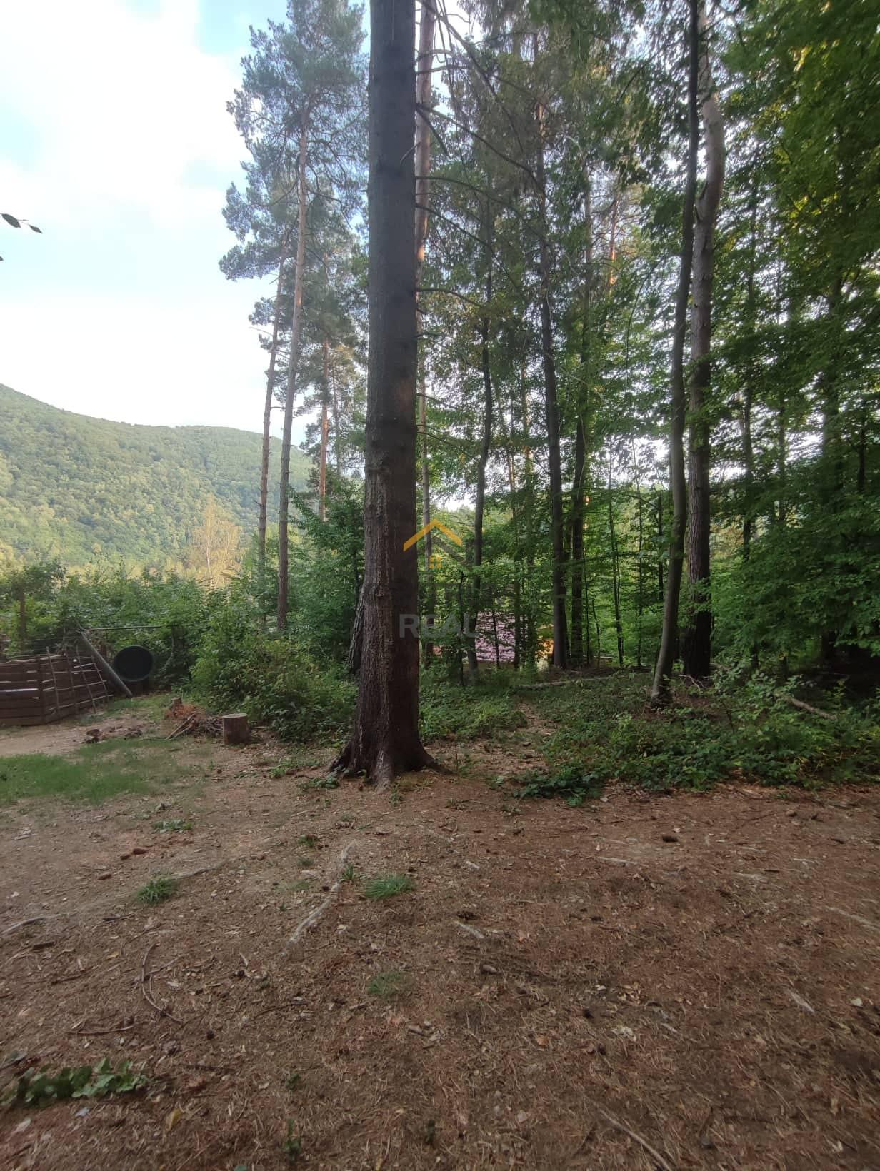 NA PREDAJ POZEMOK, MARGECANY, RUŽÍN--KOZINEC – fotka 2
