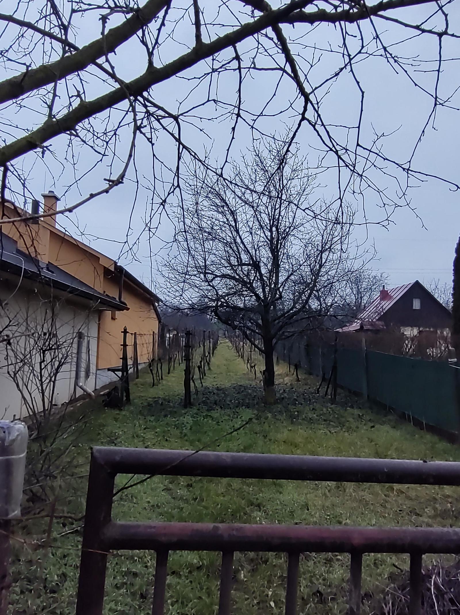 Na predaj pozemok na výstavbu viničného domu alebo na bývanie