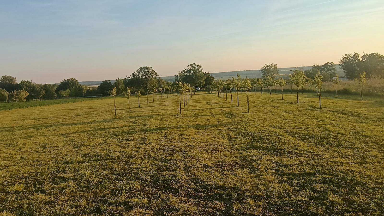 EXKLUZÍVNE na predaj luxusný pozemok 1901 m2 30 m široký v Čechynciach na rekreačné účely alebo trvalé bývanie – fotka 2