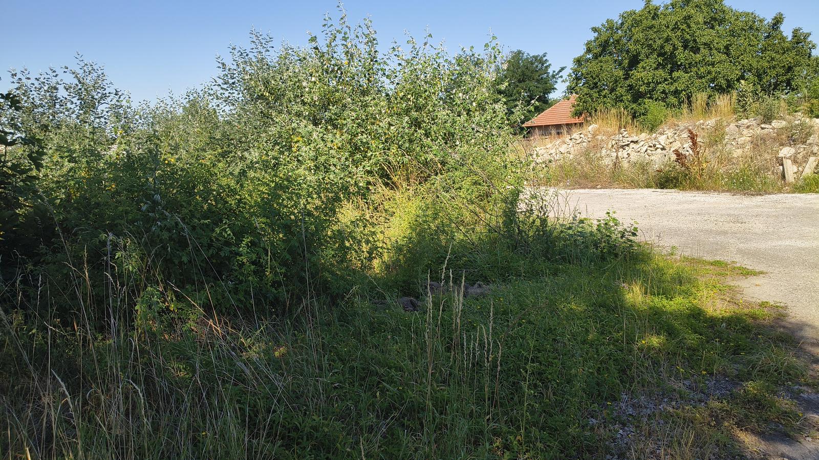 Investičná príležitosť v obci Čechynce – pozemok s potenciálom pre IBV
