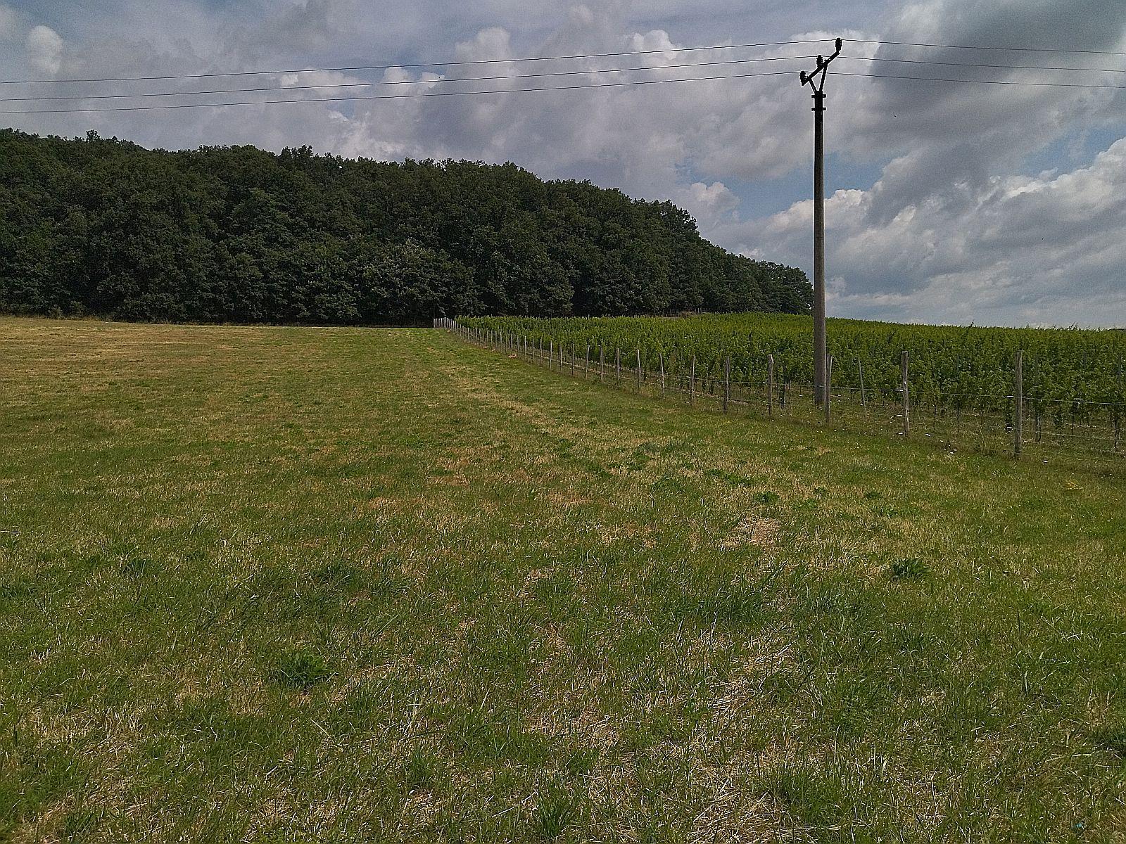 Na predaj budúci stavebný pozemok, pri Trnave, Lošonec.