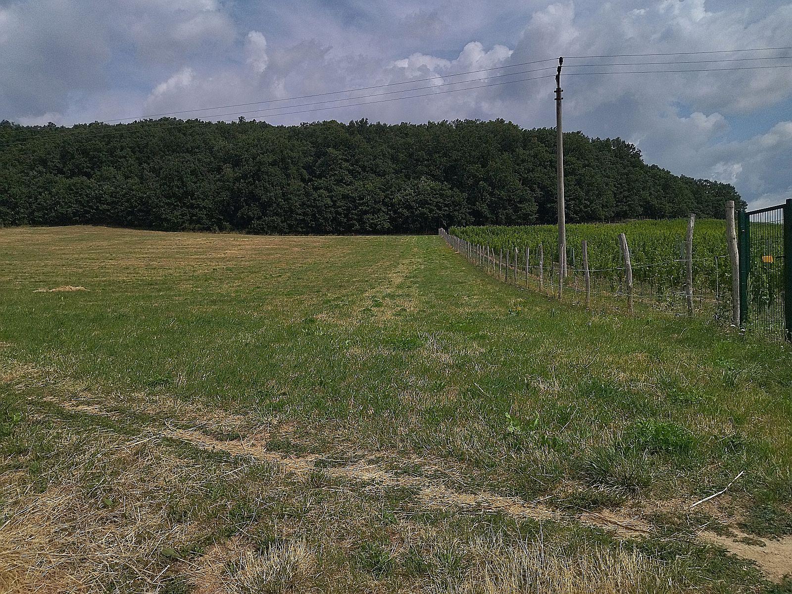 Na predaj budúci stavebný pozemok, pri Trnave, Lošonec. – fotka 2