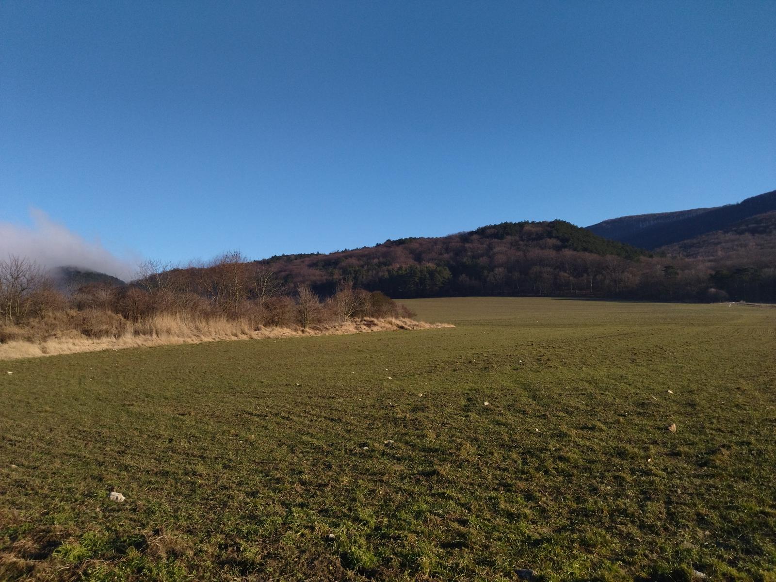 Na predaj rovinatý pozemok 40 árov, pri Trnave, Buková – fotka 2