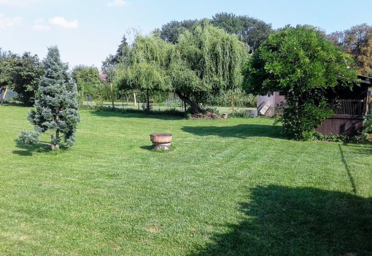 Na predaj rovinatý pozemok, obec Janík, Košice - okolie – fotka 2