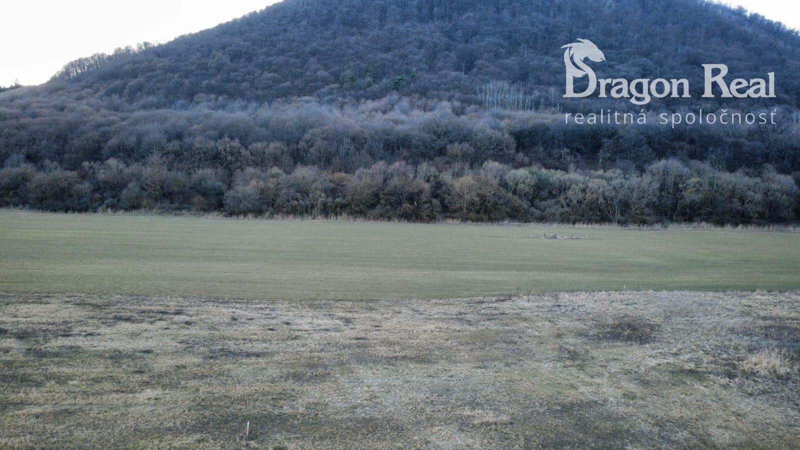 PREDAJ – Investičný pozemok o rozlohe 2768 m2- VEĽKÝ ŠARIŠ časť BARATOKY – fotka 2