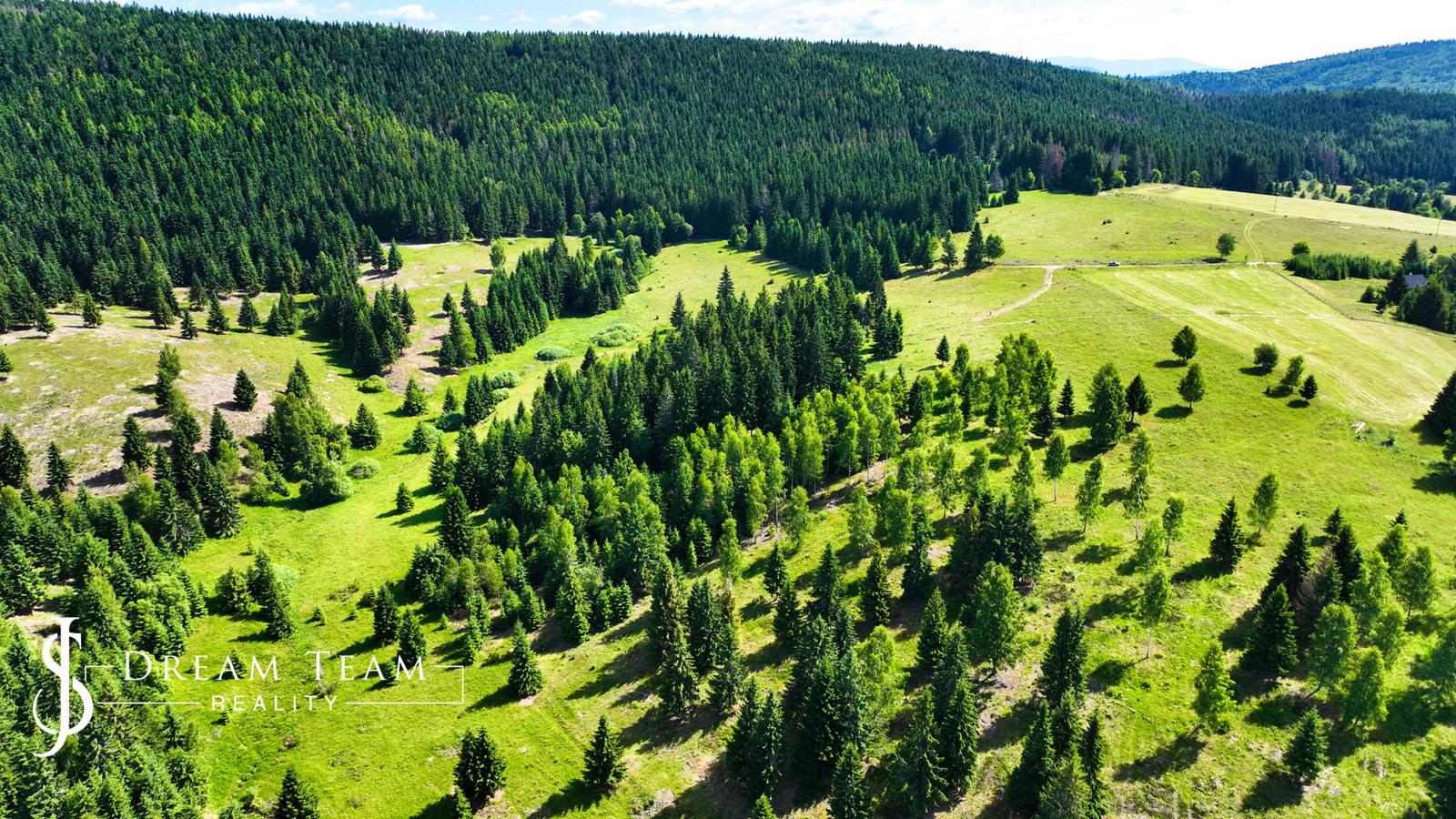 Pozemok so stavebným povolením 22200m2, Látky okr. Detva