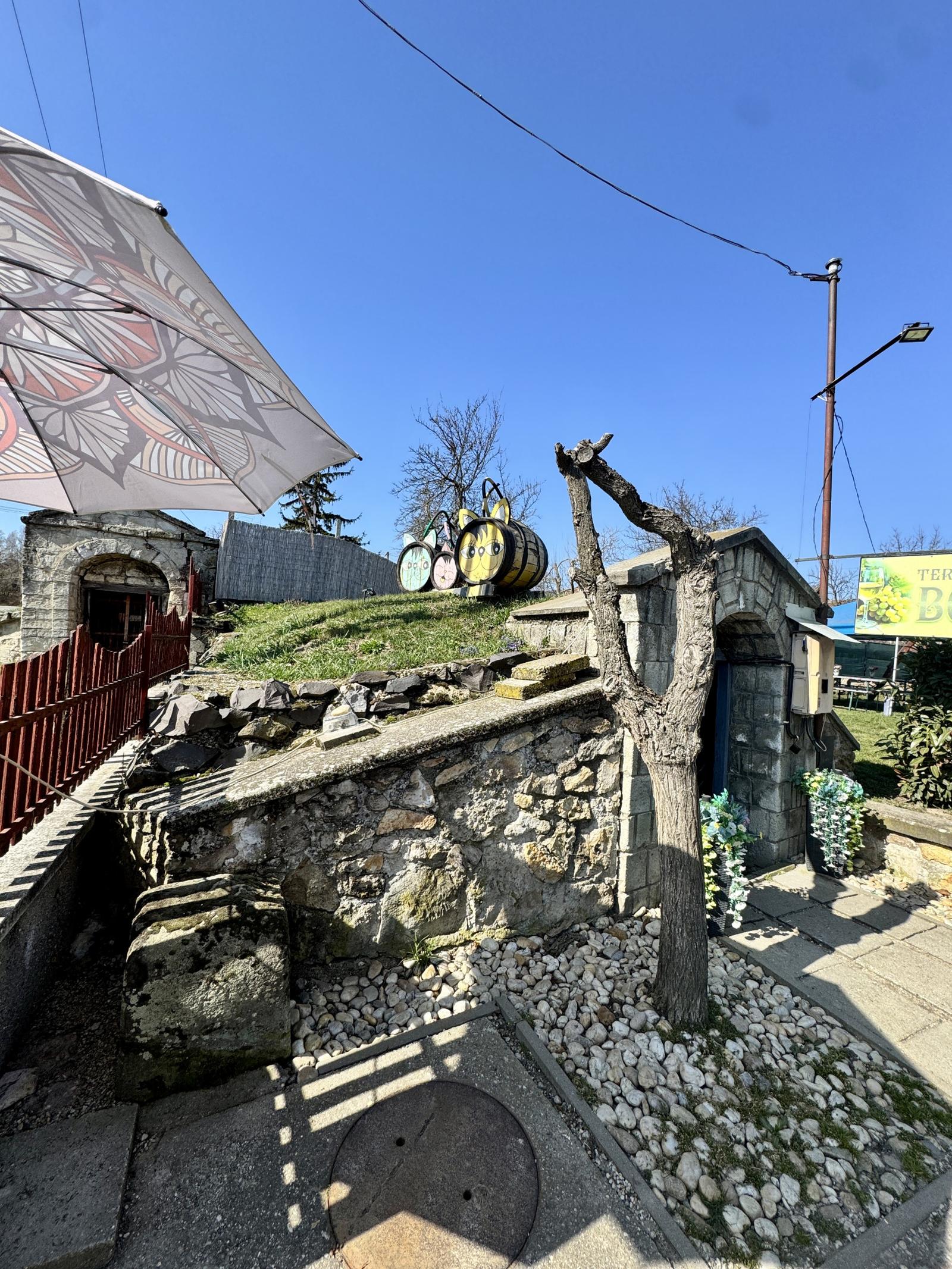 Tokaj vinárstvo: biznis, vinice, pivnica