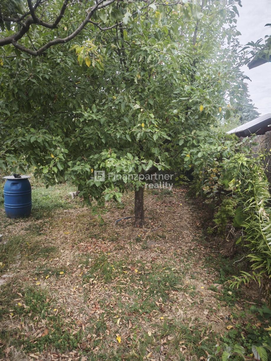 F005-014-CSUD Chata a záhrada v Štúrove – fotka 2