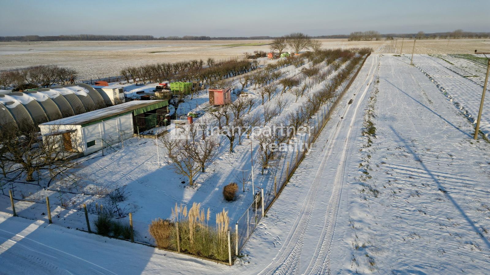 Exkluzívne na predaj ovocný sad 6435m² v obci Jahodná – fotka 2