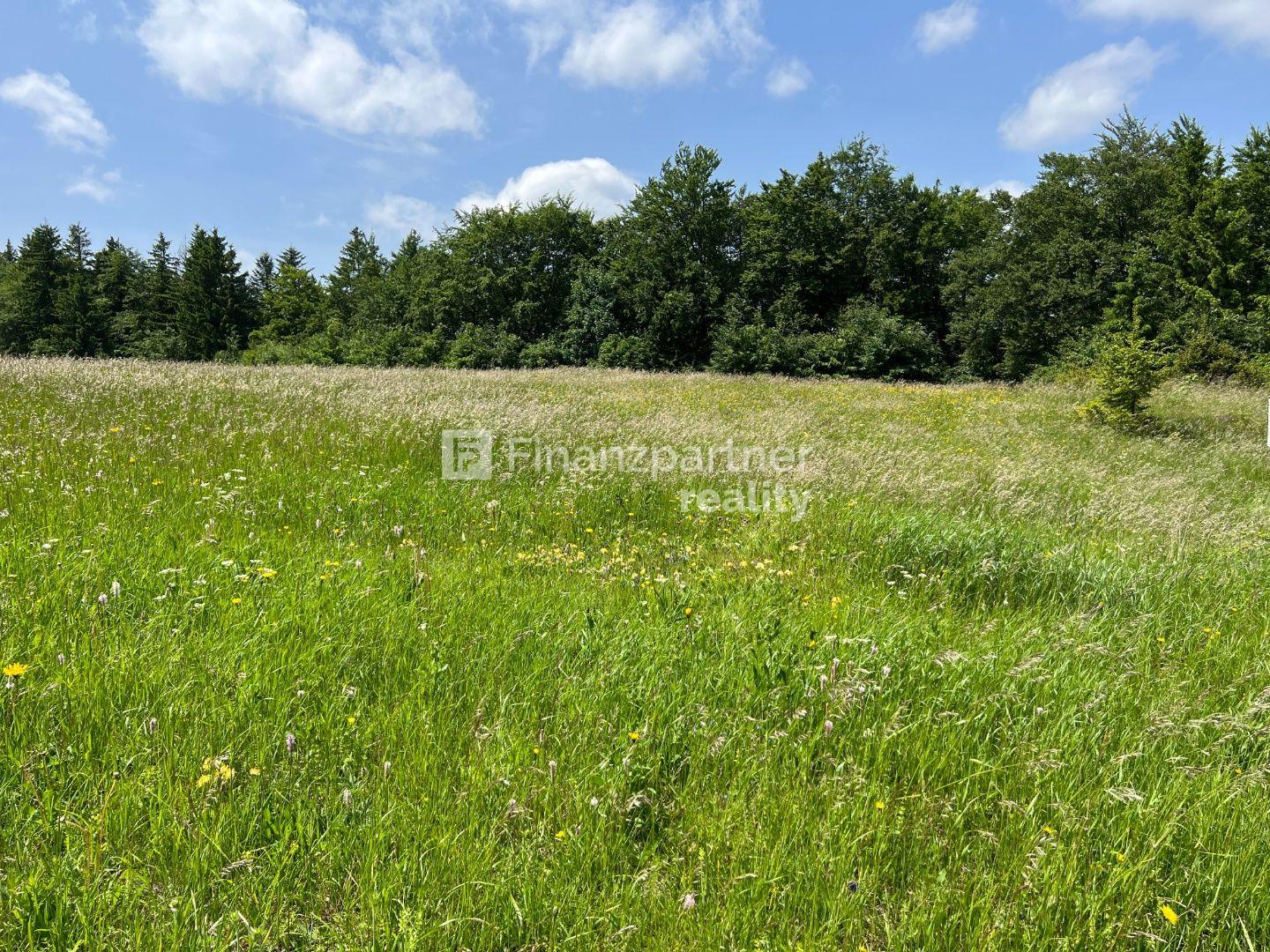 Investičný pozemok 3613 m2, Donovaly, Banská Bystrica – fotka 2
