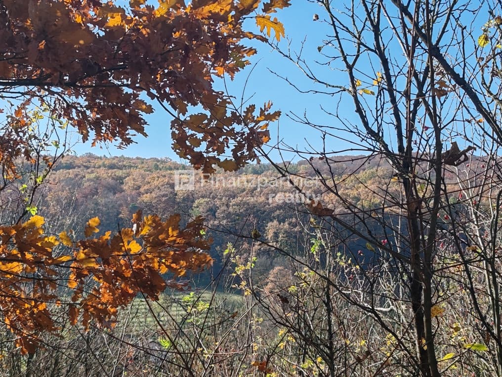 Znížená cena stavebný pozemok v Podkylave , 2218 m2 – fotka 2