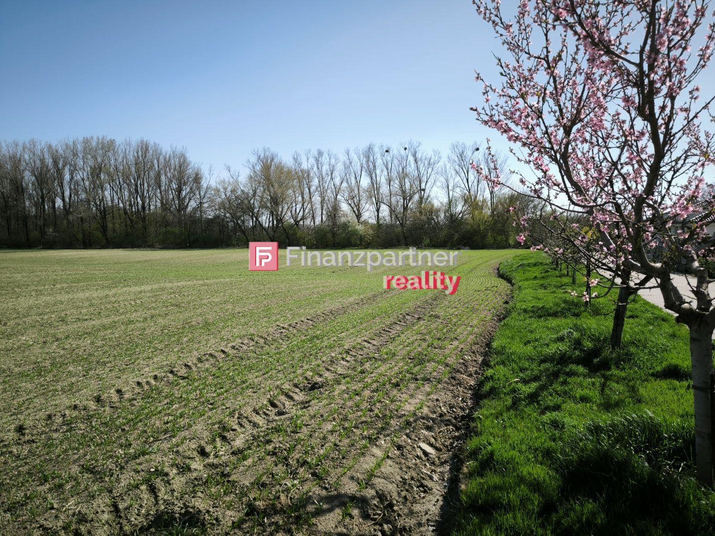 INVESTIČNÁ PRÍLEŽITOSŤ – Pozemok 9 202 m² na okraji obce